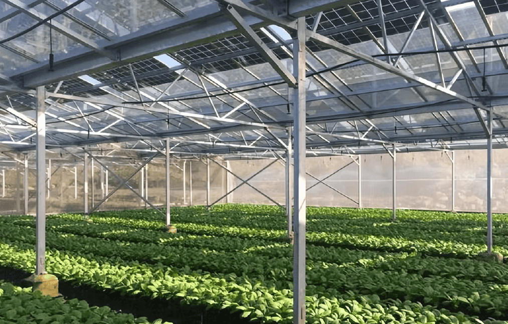 Solar Agriculture Mounting System 2 Sistema de montagem para agricultura solar YUENS