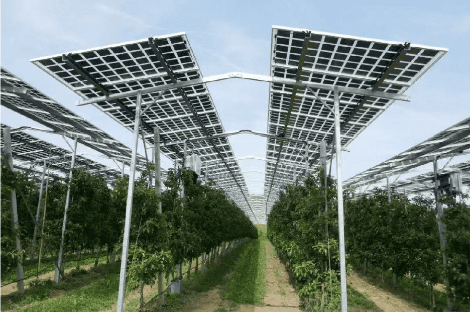Solar Agriculture Mounting System 3 Sistema de montagem para agricultura solar YUENS