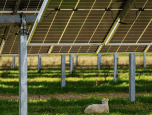 New-Zealand-PV-